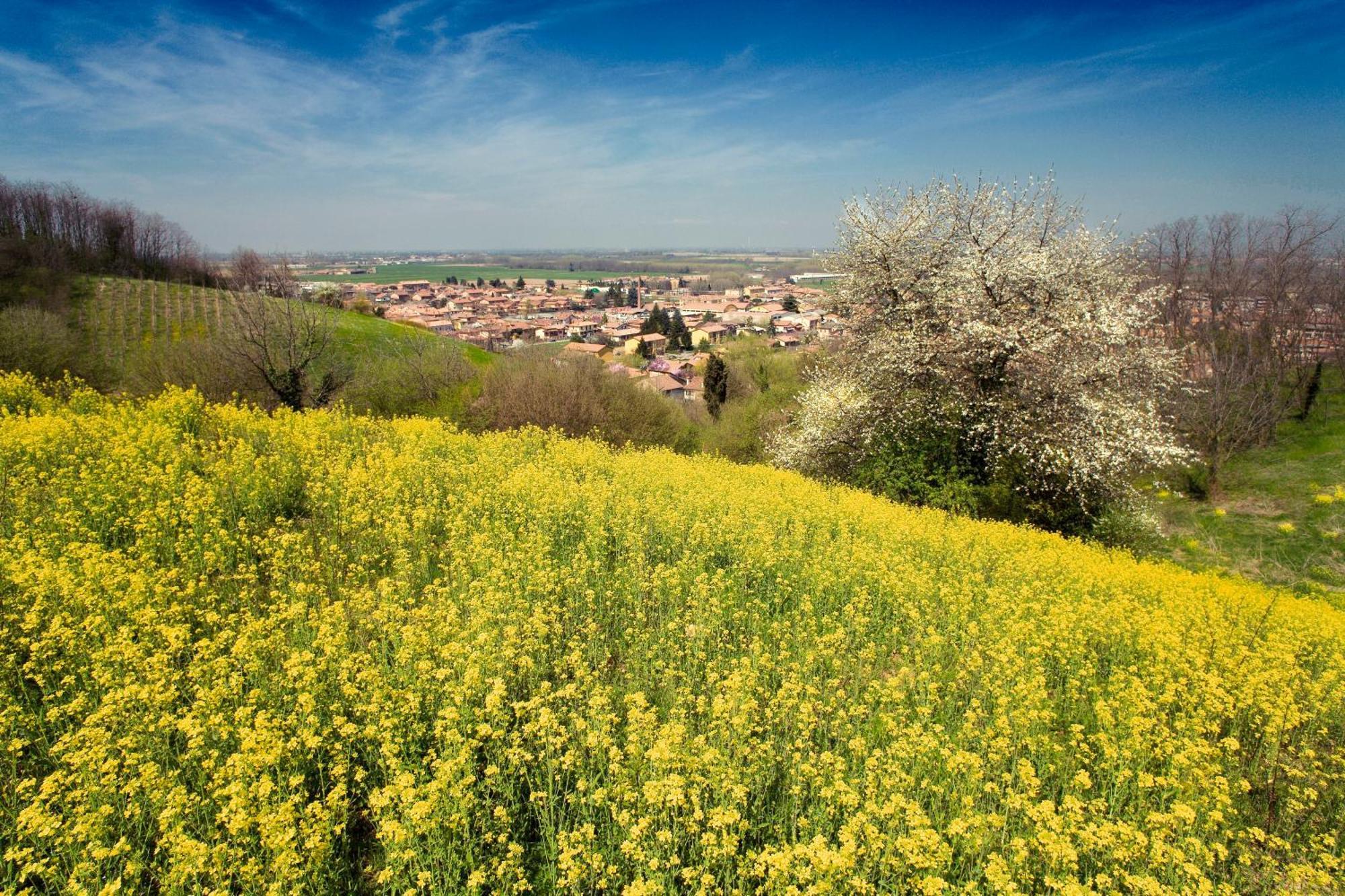 Bed & Breakfast Sforza 19 San Colombano al Lambro Exteriér fotografie